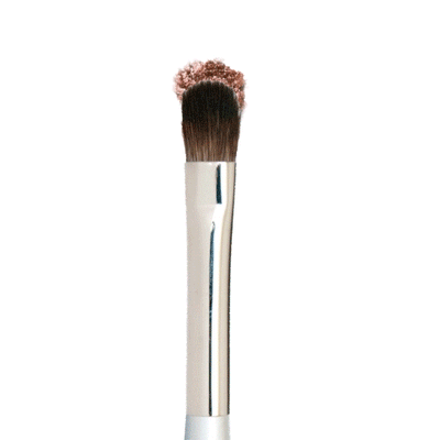 All Over Shadow Brush
